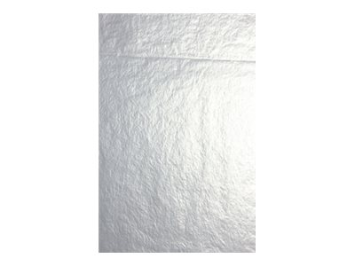 Clairefontaine - 4 feuilles pliées de papier de soie - 50 x 75 cm - argent métallisé