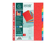 Exacompta Nature Future - Intercalaire 12 positions - A4 Maxi - carte lustrée colorée