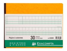 Exacompta - Piqûre comptable - 30 colonnes sur 2 pages - 25 x 32 cm - 80 pages