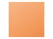Pollen - 25 Cartes - 135 x 135 mm - 210 g/m² - clémentine