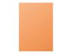 Pollen - 25 Feuilles papier couleur - A4 (210 x 297 mm) - 210 g/m² - clémentine