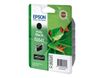Epson T0541 Grenouille - noir photo - cartouche d'encre originale