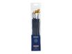 Lefranc Bourgeois - Pack de 6 pinceaux usé bombé, rond, plat - manche long - N° 6, 12, 16, 24