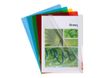 Exacompta - 100 Pochettes coin - A4 - 13/100 - couleurs assorties