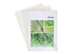 Exacompta - 100 Pochettes coin - A4 - 13/100 - cristal transparent