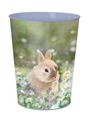 Corbeille Lapin - 22,6 x 25,7 cm - Oberthur