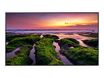 Samsung QB55B QBB Series - Ecran Led 55" - 4K - UHD (2160P) 3840 X 2160