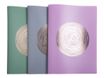 Exacompta Ellipse - Porte vues - 40 vues - A4 - timbre en or rose - gris, vert céladon, vieux rose