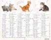 Mini calendrier illustré - 6 mois par face - 13,5 x 17,5 cm - différents modèles disponibles - Oberthur