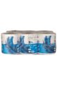 6 Rouleaux d'essuie-tout Ecolabel - Multi-Usage - 500 feuilles - XXL - Blanc