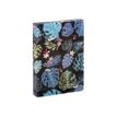 3135252218716-Viquel Tropical - Boîte de classement plastique - dos 45 mm - bleu ou noir-Angle gauche-0