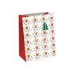 5033601498421-Clairefontaine - Sac cadeau - 21,5 cm x 10,2 cm x 25,3 cm - flocons blanc-Angle gauche-0