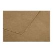 3329680290059-Pollen - 20 Enveloppes - 110 x 220 mm - 135 g/m² - kraft-Gros plan-1