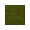 3329680951554-Clairefontaine - papier - Rouleau (50 cm x 2,5 m) - vert mousse - papier crépon-P_300003912_5-2