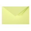 3329680161502-Pollen - cartes pliées en deux - 25 feuille(s) - 116 x 116 mm - 210 g/m²-P_300013959_2-1