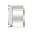 5902812000054-Esselte - intercalaire - 20 positions - A4 - à onglets - gris-P_300034329_1-0