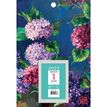 3660942074537-Exacompta - Plaque avec bloc éphéméride Sophie Adde - différents modèles disponibles-P_400009212_3-2