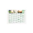 Quo Vadis Equology - kalender - dec 2020 - jan 2022 - 180 x 135 mm (pak van 10)