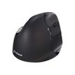 8717399997188-Bakker Elkhuizen Evoluent 4 - souris sans fil ergonomique pour droitier-P_400009833_15-7