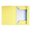 3288582350059-Exacompta Super 210 - 50 Chemises imprimées - 210 gr - canari-P_400010870_2-1