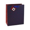 5033601543435-Clairefontaine Excellia - Sac cadeau imprimé - 21,5 cm x 10,2 cm x 25,3 cm - wax--0