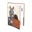 3147280241000-Agenda Lifestyle - 1 jour par page - 12 x 17 cm - Mathilde & Sligo - Hamelin--0