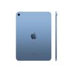 0194252516393-Apple Ipad 10,2 9ème génération – tablette 10,2“ - 256Go - gris sidéral--2