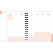 3660942085953-Exacompta Sophie Adde Lady - Agenda 15 x 17 cm - 2025 - semainier - reliure à anneaux métalliques - 18S - 150 x 170 mm - blanc --11
