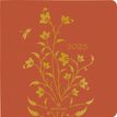 3664447208282-Agenda Astoria - 1 semaine sur 2 pages - 16,5 x 16,5 cm - orange - Oberthur--0