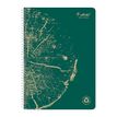 3210330684024-Clairefontaine Forever - Cahier à spirale A4 (21x29,7 cm) - 120 pages - petits carreaux (-P_405114367_8-5