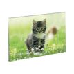 3664447114835-Oberthur Chaton Nature sous-main-P_405114674_1-0