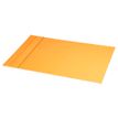 RHODIA Rhodiarama Home Office bureaumat - 60 x 40 cm - karton, kunstleer - oranje