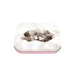 3664447147789-Boîte à bons points Chaton duo - Oberthur-P_405131787_1-0