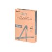 Rey Adagio - reprografisch papier - glad - 250 vel(len) - A4 - 160 g/m² (pak van 5)