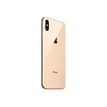 3701083040804-Apple iPhone XS Max - Smartphone reconditionné grade C (Etat correct) - 4G - 4/64 Go - or-P_405148054_3-2
