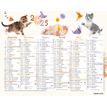 3664447193458-Mini calendrier illustré - 6 mois par face - 13,5 x 17,5 cm - différents modèles dispon-P_405186493_1-0