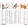 3664447193458-Mini calendrier illustré - 6 mois par face - 13,5 x 17,5 cm - différents modèles dispon-P_405186493_2-1
