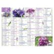 3664447193458-Mini calendrier illustré - 6 mois par face - 13,5 x 17,5 cm - différents modèles dispon-P_405186493_8-7