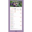 3664447209982-Calendrier mensuel en papier sur plaque illustrée - 16 x 33 cm - différents modèles dis-P_405186500_5-4