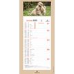 3664447209982-Calendrier mensuel en papier sur plaque illustrée - 16 x 33 cm - différents modèles dis-P_405186500_6-5