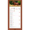 3664447209982-Calendrier mensuel en papier sur plaque illustrée - 16 x 33 cm - différents modèles dis-P_405186500_8-7
