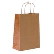 3700030058572-Sac kraft poignées torsadées Jungle terracotta -  18 x 8 x 24 cm-P_405221669_1-0