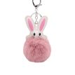 3135257904768-Porte-clés Funny clips - Peluche et PU - couleurs assorties - Viquel-P_405226378_8-7