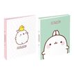 3135258004412-Classeur 2 anneaux - Dos 50 mm - A4 - Molang - Viquel-P_405226422_1-0