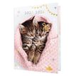 3664447193427-Agenda Chaton tendre duo - 1 jour par page - 12,5 x 17,5 cm - Oberthur-P_405228357_1-0