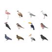 8410782200543-APLI kids - Rouleau adhésif - 360 pièces - oiseaux, animaux marins, terrestrial animals, exotic animals - 30 fe-P_405243350_4-3