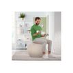 4002432134762-Leitz Ergo - Ballon d'assise ergonomique - Diamètre 65cm - Gris clair-P_405245725_1-1