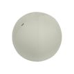 4002432134762-Leitz Ergo - Ballon d'assise ergonomique - Diamètre 65cm - Gris clair-P_405245725_16-0