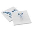 8720039382589-Lot de 2 toiles 20x20cm 100% cotton--1