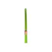 3281514825359-Pronappe - Nappe - Taille 25 x 1.18 m - jetable - vert kiwi-P_405252149_1-0